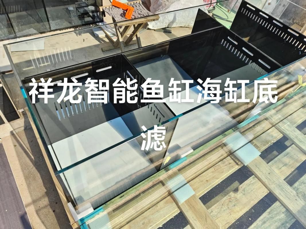 祥龍魚場有哪些龍魚缸配件？，祥龍魚場提供的龍魚缸配件種類繁多旨在為魚類愛好者提供全面的魚缸裝飾和設施 祥龍魚場有哪些龍魚缸配件？，祥龍魚場提供的龍魚缸配件種類繁多旨在為魚類愛好者提供全面的魚缸裝飾和設施 龍魚百科 第5張
