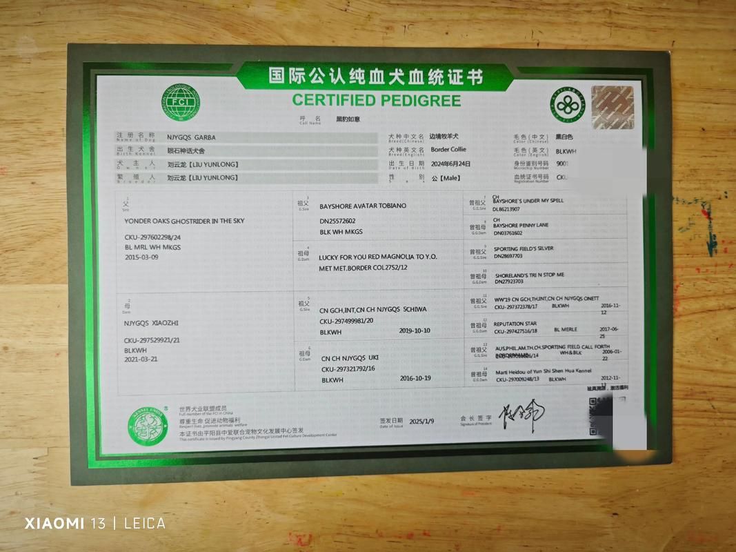 如何辨別祥龍漁場龍魚的真偽? 龍魚百科 第8張 如何辨別祥龍漁場龍魚的真偽? 如何辨別祥龍漁場龍魚的真偽? 龍魚百科 第8張