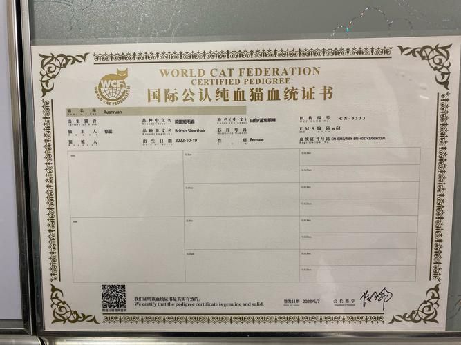 如何辨別祥龍漁場龍魚的真偽? 龍魚百科 第7張 如何辨別祥龍漁場龍魚的真偽? 如何辨別祥龍漁場龍魚的真偽? 龍魚百科 第7張