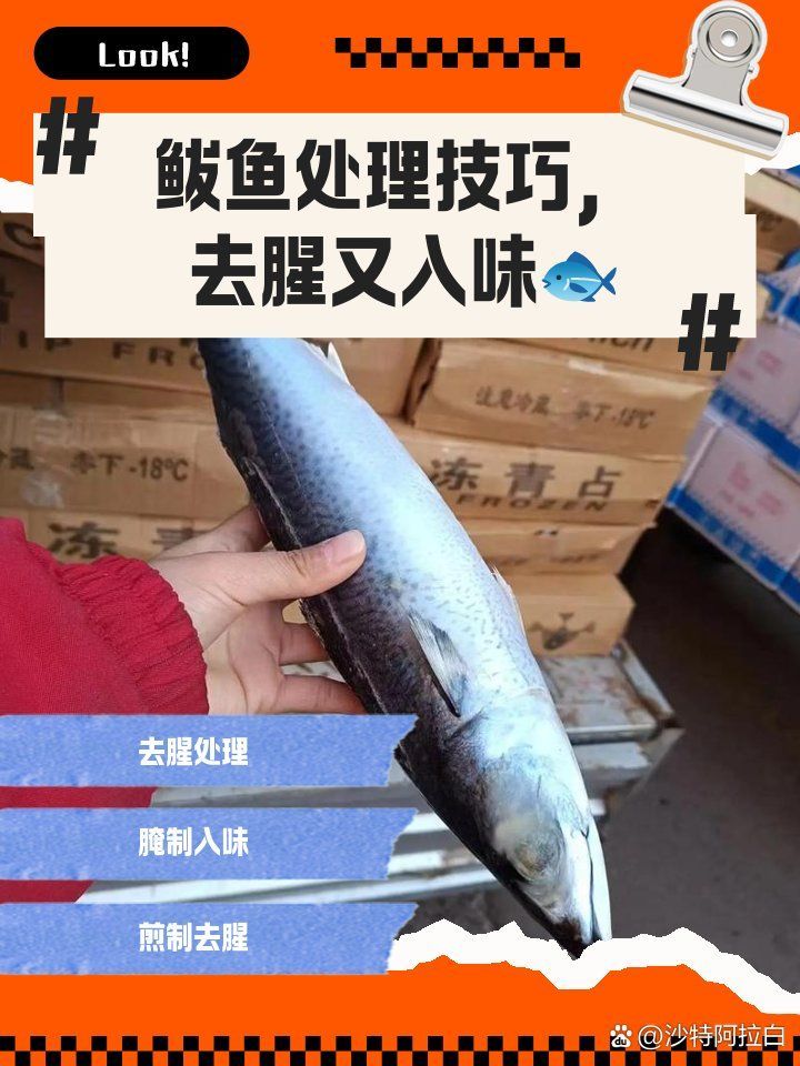 如何安全地食用鲅魚，如何安全地食用鲅魚，如何安全地食用鲅魚成為一個值得探討的問題 如何安全地食用鲅魚，如何安全地食用鲅魚，如何安全地食用鲅魚成為一個值得探討的問題 龍魚百科 第2張