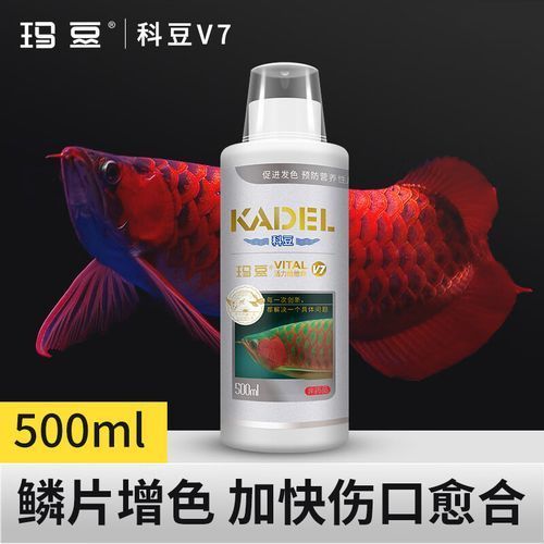 如何預防龍魚鰓蓋小洞的發生，如何預防龍魚鰓蓋小洞的發生，預防龍魚鰓蓋小洞的發生 如何預防龍魚鰓蓋小洞的發生，如何預防龍魚鰓蓋小洞的發生，預防龍魚鰓蓋小洞的發生 龍魚百科 第18張