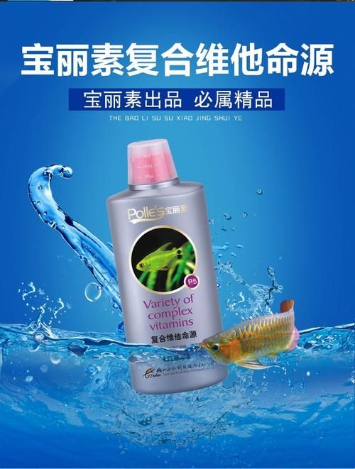 如何預防龍魚鰓蓋小洞的發生，如何預防龍魚鰓蓋小洞的發生，預防龍魚鰓蓋小洞的發生 如何預防龍魚鰓蓋小洞的發生，如何預防龍魚鰓蓋小洞的發生，預防龍魚鰓蓋小洞的發生 龍魚百科 第15張