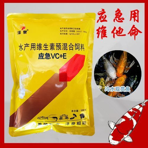 如何預防龍魚鰓蓋小洞的發生，如何預防龍魚鰓蓋小洞的發生，預防龍魚鰓蓋小洞的發生 如何預防龍魚鰓蓋小洞的發生，如何預防龍魚鰓蓋小洞的發生，預防龍魚鰓蓋小洞的發生 龍魚百科 第13張