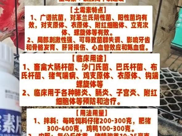 慶大霉素、土霉素和恩諾沙星哪個最有效，慶大霉素,土霉素和恩諾沙星哪個最有效 慶大霉素、土霉素和恩諾沙星哪個最有效，慶大霉素,土霉素和恩諾沙星哪個最有效 龍魚百科 第1張