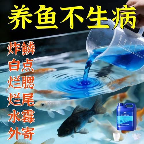 如何正確使用亞甲基藍和黃粉，亞甲基藍與黃粉的正確使用亞甲基藍與黃粉的正確使用方法