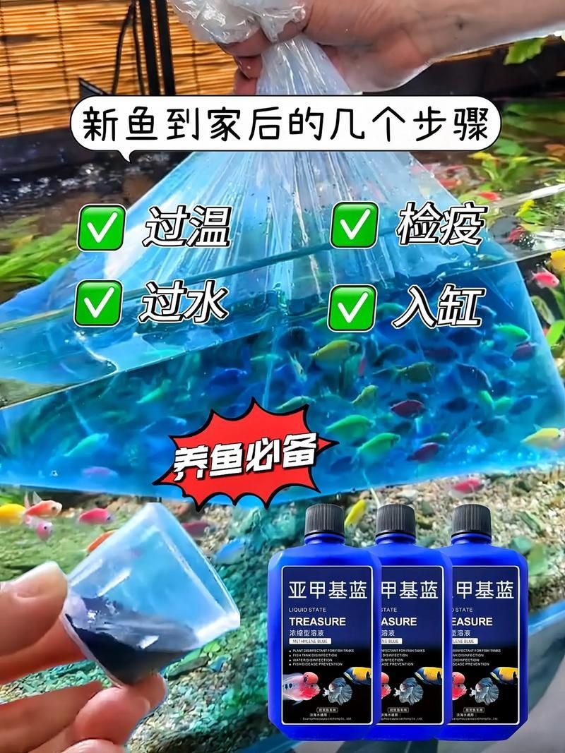如何正確使用亞甲基藍和黃粉，亞甲基藍與黃粉的正確使用亞甲基藍與黃粉的正確使用方法 如何正確使用亞甲基藍和黃粉，亞甲基藍與黃粉的正確使用亞甲基藍與黃粉的正確使用方法 龍魚百科 第6張