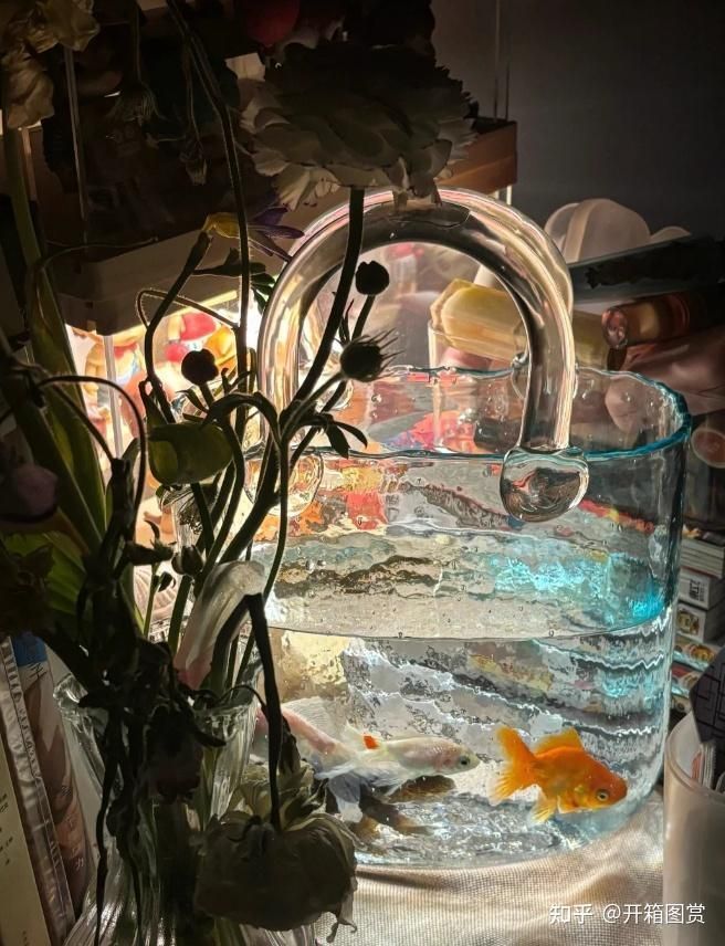 龍魚魚缸排行榜前十名有哪些品牌，龍魚魚缸品牌排行榜前十名龍魚魚缸品牌排行榜前十名 龍魚魚缸排行榜前十名有哪些品牌，龍魚魚缸品牌排行榜前十名龍魚魚缸品牌排行榜前十名 龍魚百科 第2張