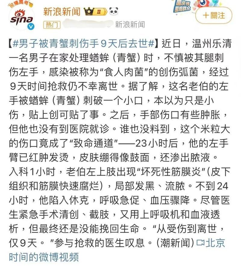 有哪些常見的魚攜帶細(xì)菌，常見魚類攜帶致病細(xì)菌的系統(tǒng)性詳解 有哪些常見的魚攜帶細(xì)菌，常見魚類攜帶致病細(xì)菌的系統(tǒng)性詳解 龍魚百科 第8張