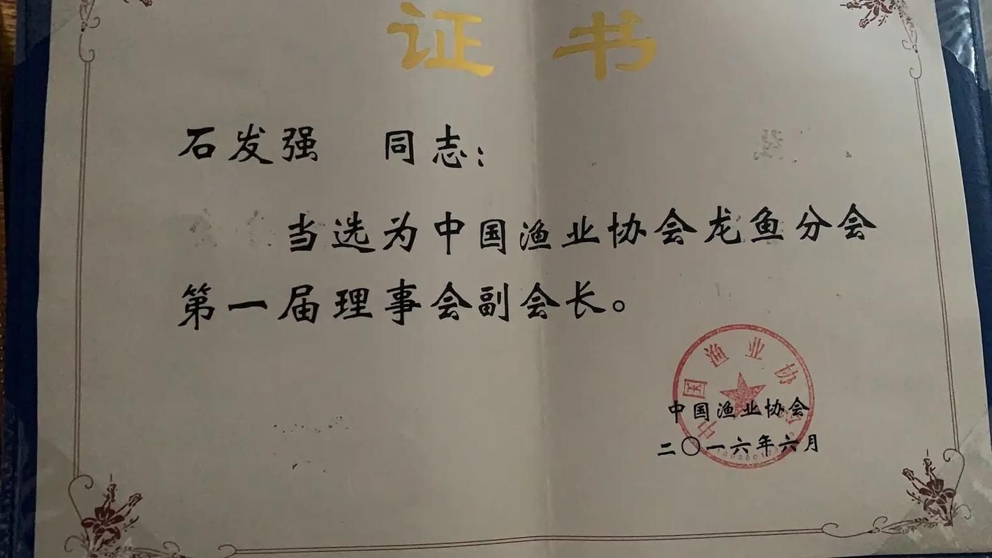 如何判斷一個龍魚品牌是否正規?,如何判斷一個龍魚品牌是否正規 龍魚百科 第6張 如何判斷一個龍魚品牌是否正規?,如何判斷一個龍魚品牌是否正規 如何判斷一個龍魚品牌是否正規?,如何判斷一個龍魚品牌是否正規 龍魚百科 第6張