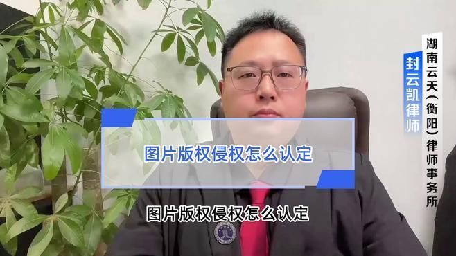這些圖片是否涉及隱私或版權問題？，圖片版權侵權怎么認定 這些圖片是否涉及隱私或版權問題？，圖片版權侵權怎么認定 龍魚百科 第1張