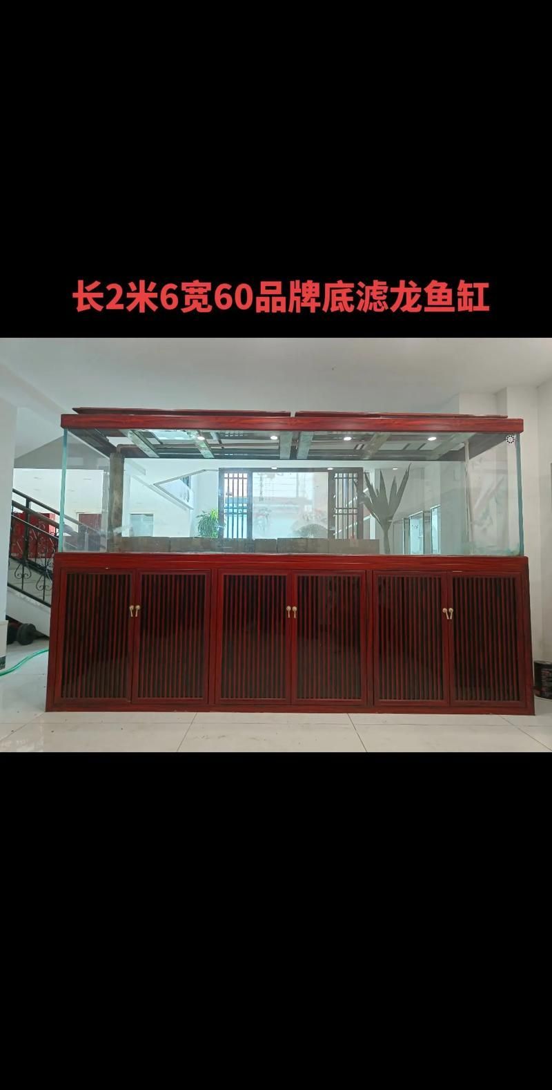 祥龍魚(yú)場(chǎng)提供的龍魚(yú)魚(yú)缸尺寸有哪些選擇？，祥龍魚(yú)場(chǎng)提供的龍魚(yú)魚(yú)缸尺寸選項(xiàng)，李亞四龍魚(yú)性價(jià)比最高 祥龍魚(yú)場(chǎng)提供的龍魚(yú)魚(yú)缸尺寸有哪些選擇？，祥龍魚(yú)場(chǎng)提供的龍魚(yú)魚(yú)缸尺寸選項(xiàng)，李亞四龍魚(yú)性價(jià)比最高 龍魚(yú)百科 第5張