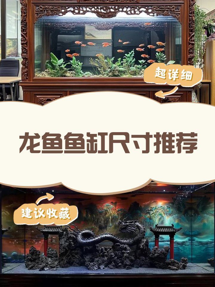 龍魚專用缸的尺寸如何選擇？，龍魚專用缸的尺寸如何選擇,養龍魚魚缸尺寸推薦
