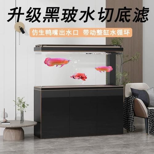 能推薦幾款性價比高的龍魚缸嗎？，如何選擇一款性價比高的龍魚缸 能推薦幾款性價比高的龍魚缸嗎？，如何選擇一款性價比高的龍魚缸 龍魚百科 第2張