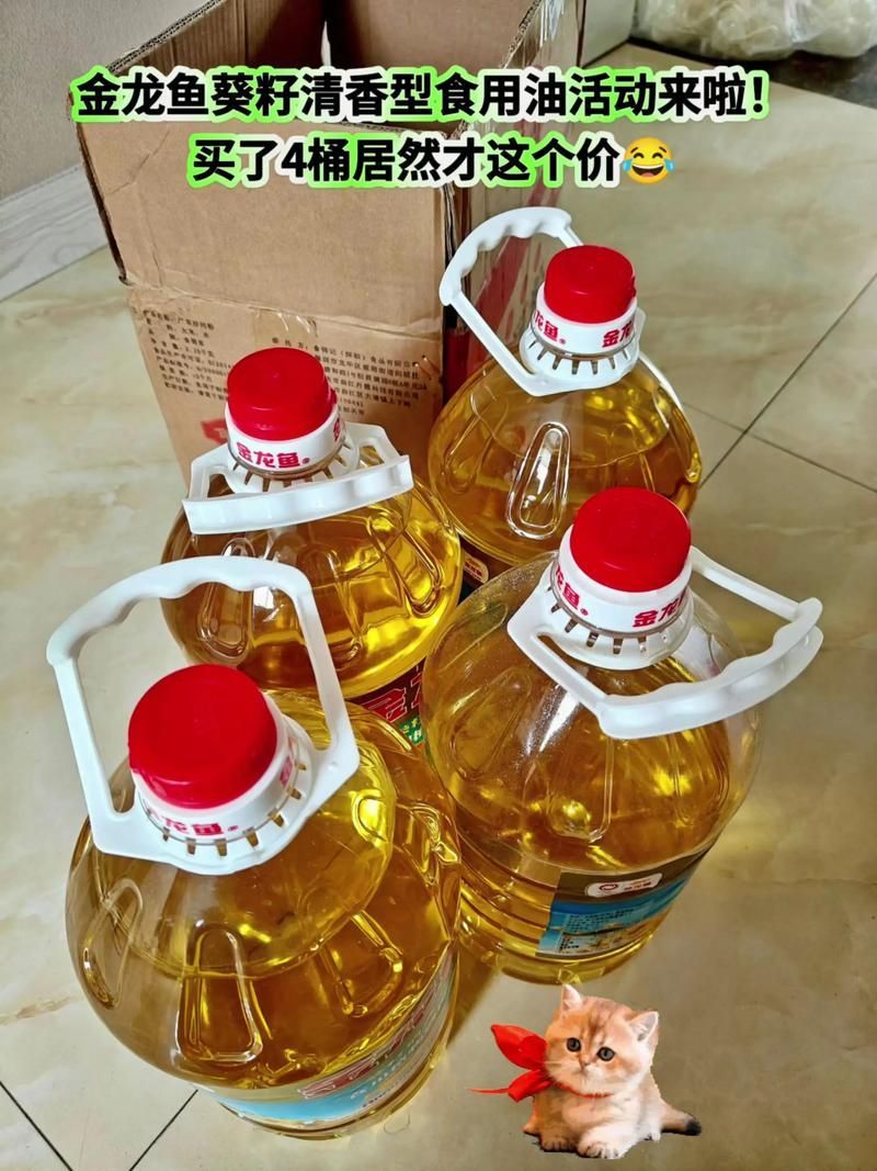 如何辨別高端金龍魚的真?zhèn)危绾伪鎰e高端金龍魚的真?zhèn)?用戶要求詳解 如何辨別高端金龍魚的真?zhèn)危绾伪鎰e高端金龍魚的真?zhèn)?用戶要求詳解 龍魚百科 第4張