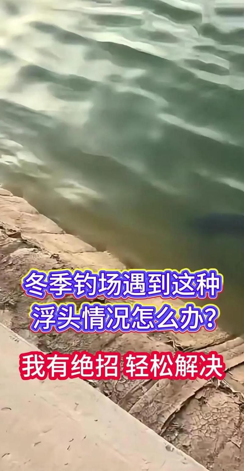 暗浮頭時(shí)如何緊急增氧，冬日魚浮頭3招急救+預(yù)防暗浮頭再次發(fā)生 暗浮頭時(shí)如何緊急增氧，冬日魚浮頭3招急救+預(yù)防暗浮頭再次發(fā)生 龍魚百科 第1張