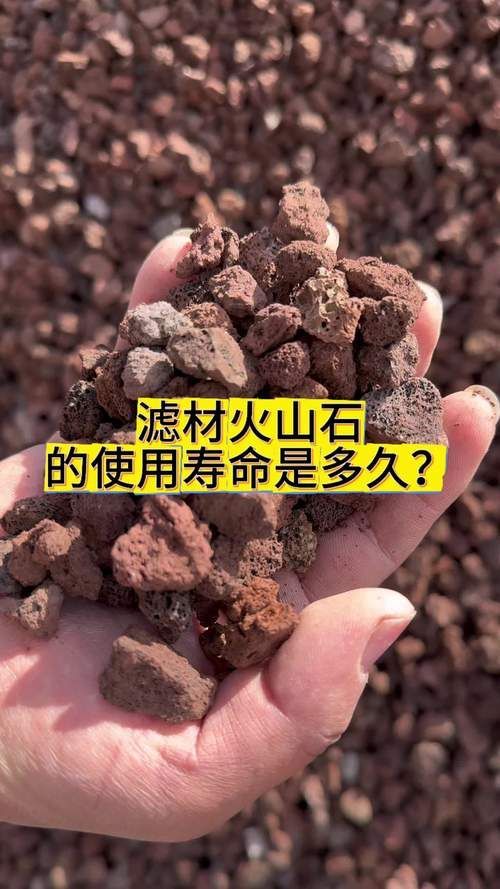 給我推薦幾款適合草缸的濾材，20種草缸濾材大揭秘 給我推薦幾款適合草缸的濾材，20種草缸濾材大揭秘 龍魚百科 第3張