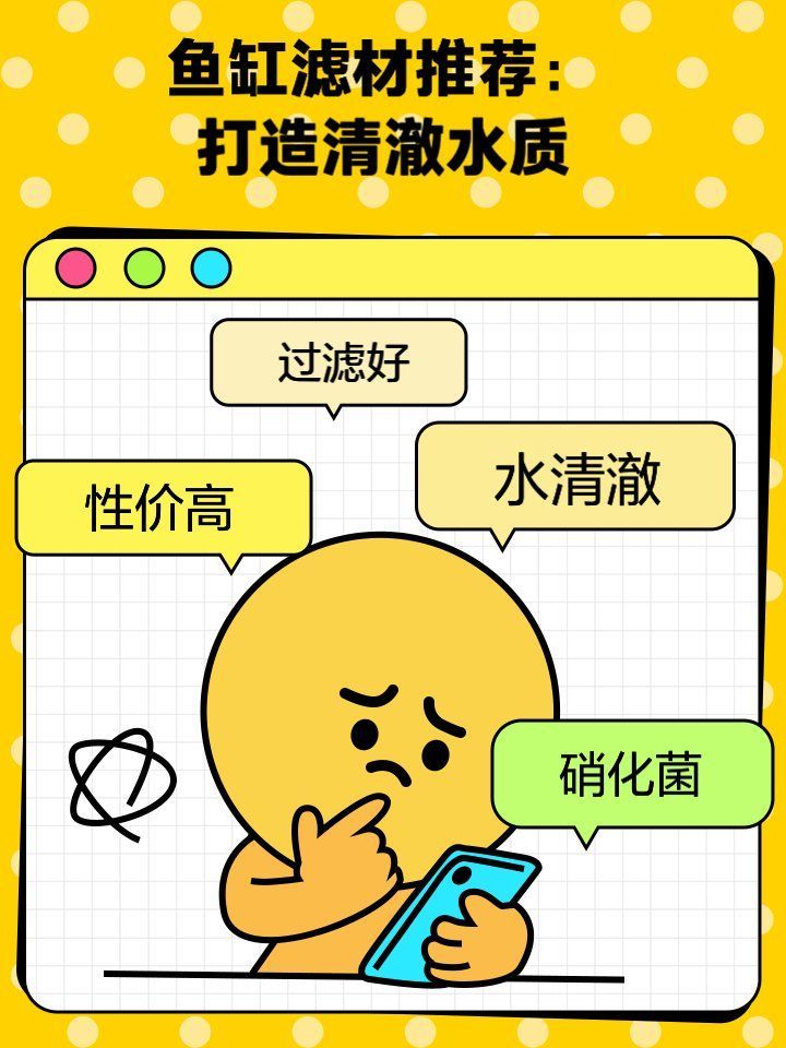 給我推薦幾款適合草缸的濾材，20種草缸濾材大揭秘 給我推薦幾款適合草缸的濾材，20種草缸濾材大揭秘 龍魚百科 第7張