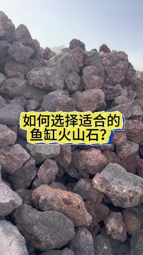 給我推薦幾款適合草缸的濾材，20種草缸濾材大揭秘 給我推薦幾款適合草缸的濾材，20種草缸濾材大揭秘 龍魚百科 第6張