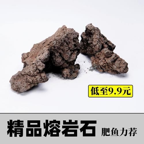 給我推薦幾款適合草缸的濾材，20種草缸濾材大揭秘 給我推薦幾款適合草缸的濾材，20種草缸濾材大揭秘 龍魚百科 第4張