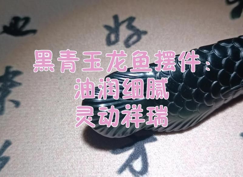聚財龍魚擺件有哪些材質(zhì)選擇，禮之源全銅風(fēng)水金龍魚擺件 聚財龍魚擺件有哪些材質(zhì)選擇，禮之源全銅風(fēng)水金龍魚擺件 龍魚百科 第10張