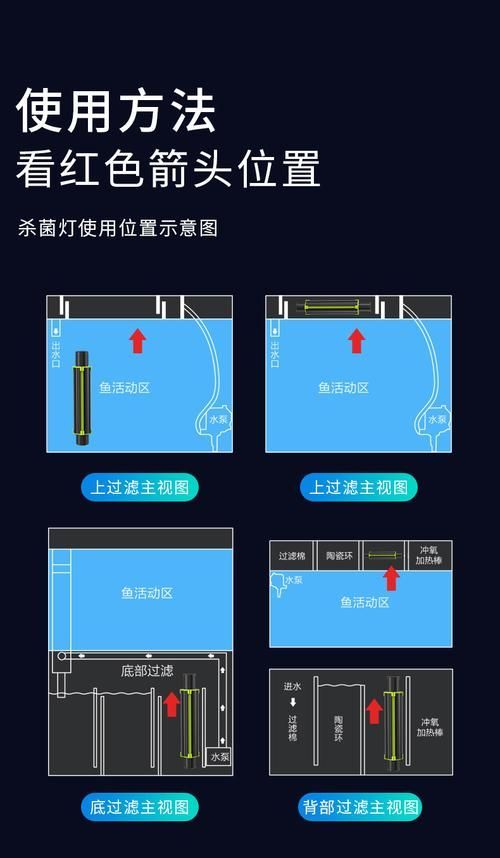 如何預防白子黃化銀龍魚疾病?,如何預防白子黃化銀龍魚疾病 龍魚百科 第13張 如何預防白子黃化銀龍魚疾病?,如何預防白子黃化銀龍魚疾病 如何預防白子黃化銀龍魚疾病?,如何預防白子黃化銀龍魚疾病 龍魚百科 第13張