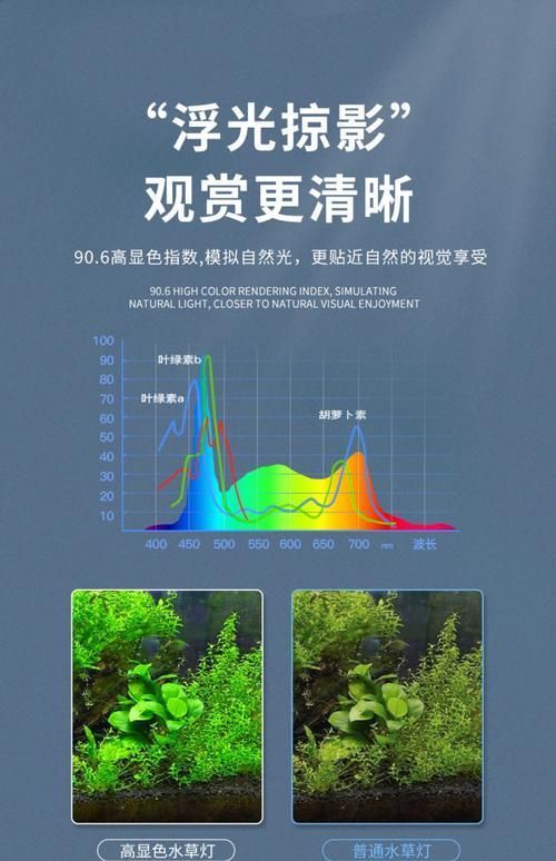 如何預防白子黃化銀龍魚疾病?,如何預防白子黃化銀龍魚疾病 龍魚百科 第14張 如何預防白子黃化銀龍魚疾病?,如何預防白子黃化銀龍魚疾病 如何預防白子黃化銀龍魚疾病?,如何預防白子黃化銀龍魚疾病 龍魚百科 第14張