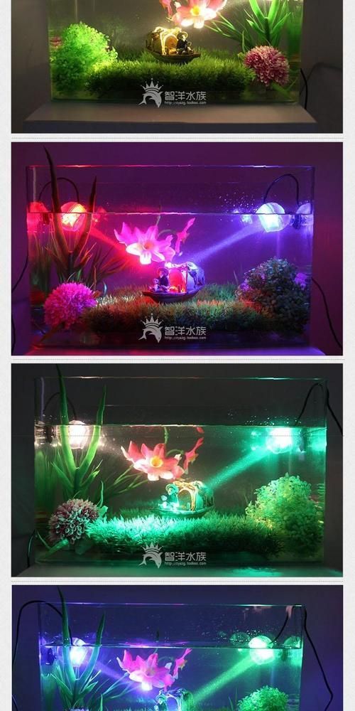 如何根據魚缸形狀選擇魚缸燈，魚缸燈的選擇對于營造一個理想的水族箱環境至關重要 如何根據魚缸形狀選擇魚缸燈，魚缸燈的選擇對于營造一個理想的水族箱環境至關重要 龍魚百科 第17張