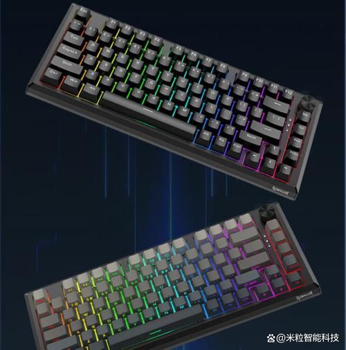 如何辨別紅龍四大品牌的產品，如何辨別紅龍四大品牌的產品,用戶要求詳解 如何辨別紅龍四大品牌的產品，如何辨別紅龍四大品牌的產品,用戶要求詳解 龍魚百科 第9張