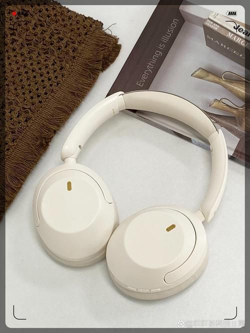 如何辨別紅龍四大品牌的產品，如何辨別紅龍四大品牌的產品,用戶要求詳解 如何辨別紅龍四大品牌的產品，如何辨別紅龍四大品牌的產品,用戶要求詳解 龍魚百科 第15張