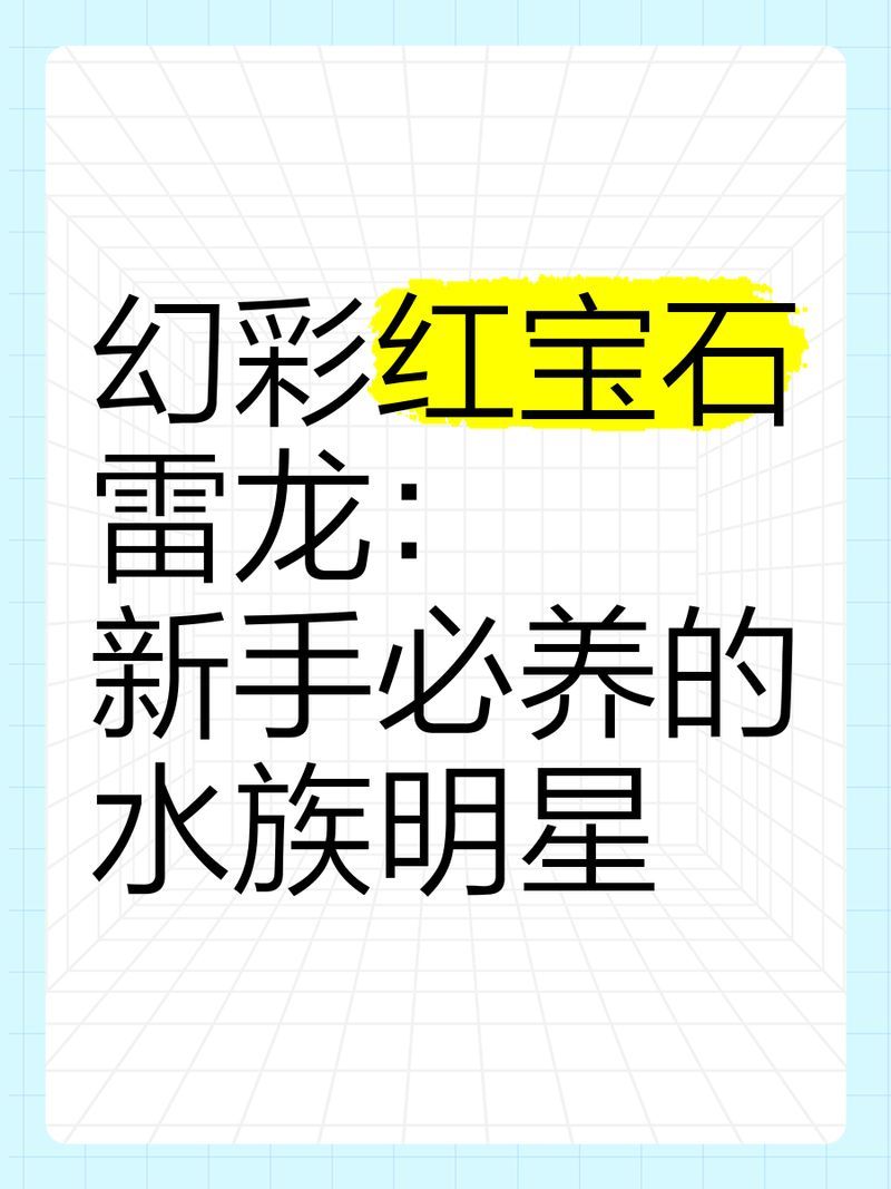 夢幻雷龍魚有哪些品種？，夢幻雷龍魚品種與飼養指南:夢幻雷龍魚品種對照表 夢幻雷龍魚有哪些品種？，夢幻雷龍魚品種與飼養指南:夢幻雷龍魚品種對照表 龍魚百科 第18張
