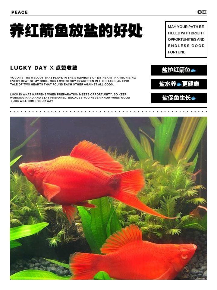如何判斷魚是否適合加鹽，如何判斷魚是否適合加鹽，
