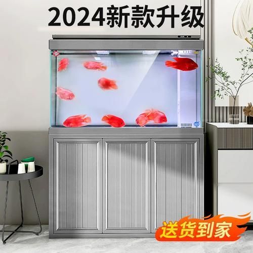 給我推薦一些適合龍魚的魚缸品牌，適合龍魚的優(yōu)質(zhì)魚缸品牌推薦 給我推薦一些適合龍魚的魚缸品牌，適合龍魚的優(yōu)質(zhì)魚缸品牌推薦 龍魚百科 第1張