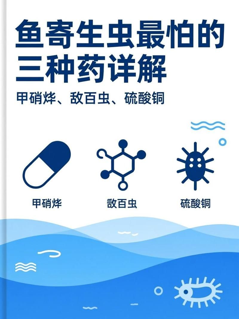 有哪些藥物可以治療龍魚寄生蟲，關于龍魚寄生蟲治療 有哪些藥物可以治療龍魚寄生蟲，關于龍魚寄生蟲治療 龍魚百科 第6張