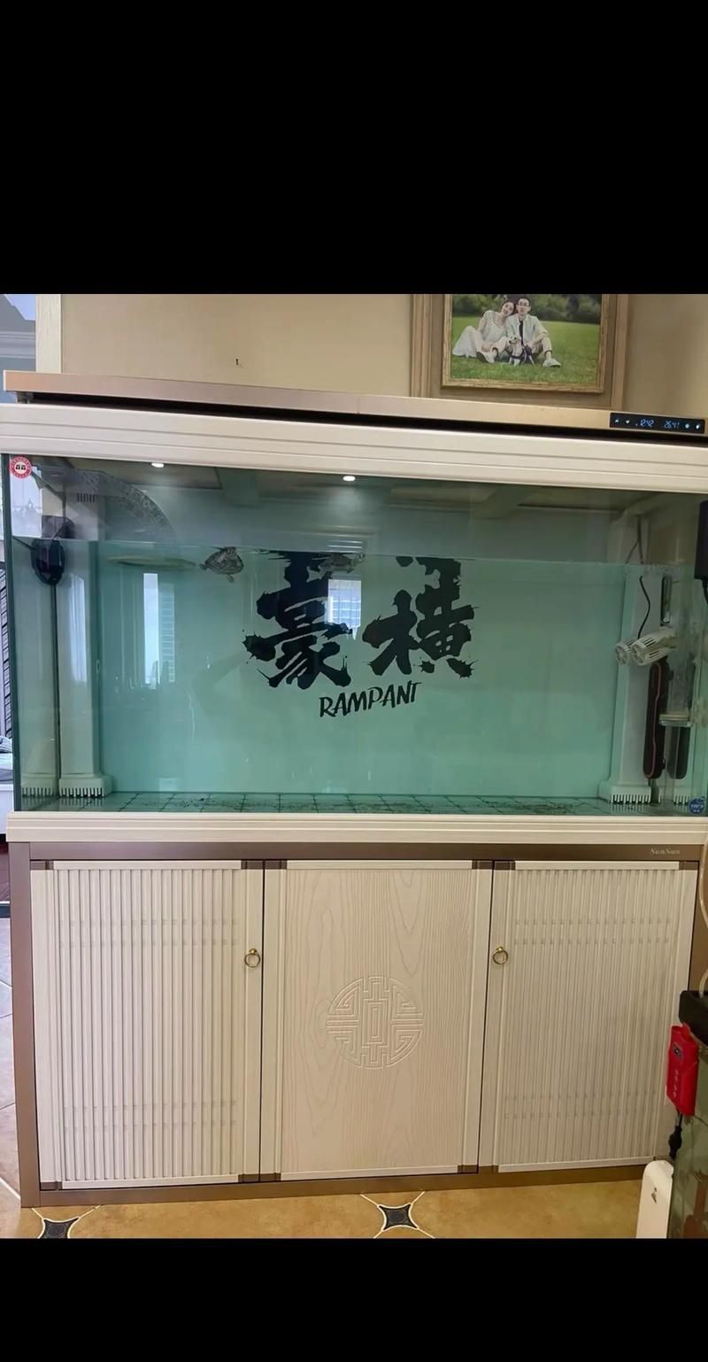 有哪些品牌推薦150cm魚缸？，哪些品牌推薦150cm魚缸？ 有哪些品牌推薦150cm魚缸？，哪些品牌推薦150cm魚缸？ 龍魚百科 第2張