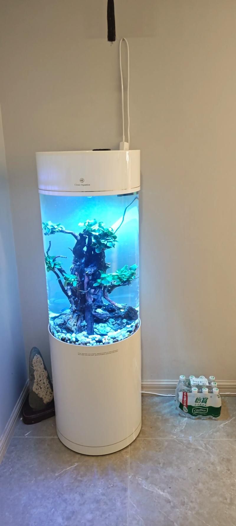 有哪些品牌推薦150cm魚缸？，哪些品牌推薦150cm魚缸？ 有哪些品牌推薦150cm魚缸？，哪些品牌推薦150cm魚缸？ 龍魚百科 第16張