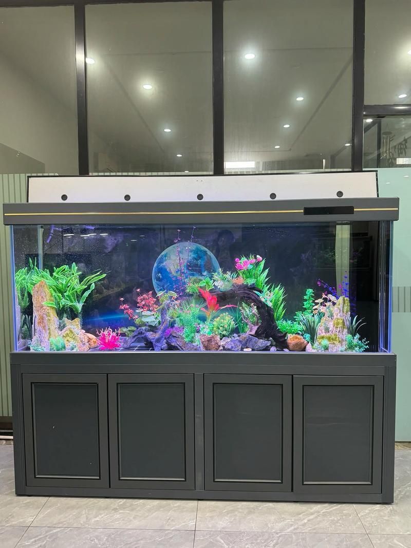 有哪些品牌推薦150cm魚缸？，哪些品牌推薦150cm魚缸？ 有哪些品牌推薦150cm魚缸？，哪些品牌推薦150cm魚缸？ 龍魚百科 第20張