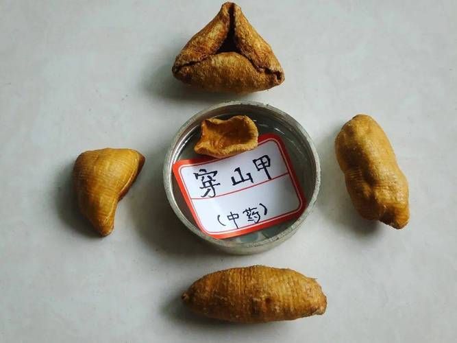 有哪些成功的動物保護梗案例，動物保護梗案例調用arxiv論文助手