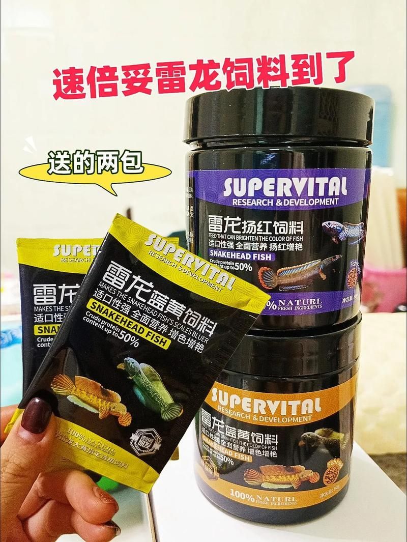 速倍妥飼料哪個型號最好？，速倍妥各型號對照表，幫你快速選對適合你家魚種的飼料？ 速倍妥飼料哪個型號最好？，速倍妥各型號對照表，幫你快速選對適合你家魚種的飼料？ 龍魚百科 第2張