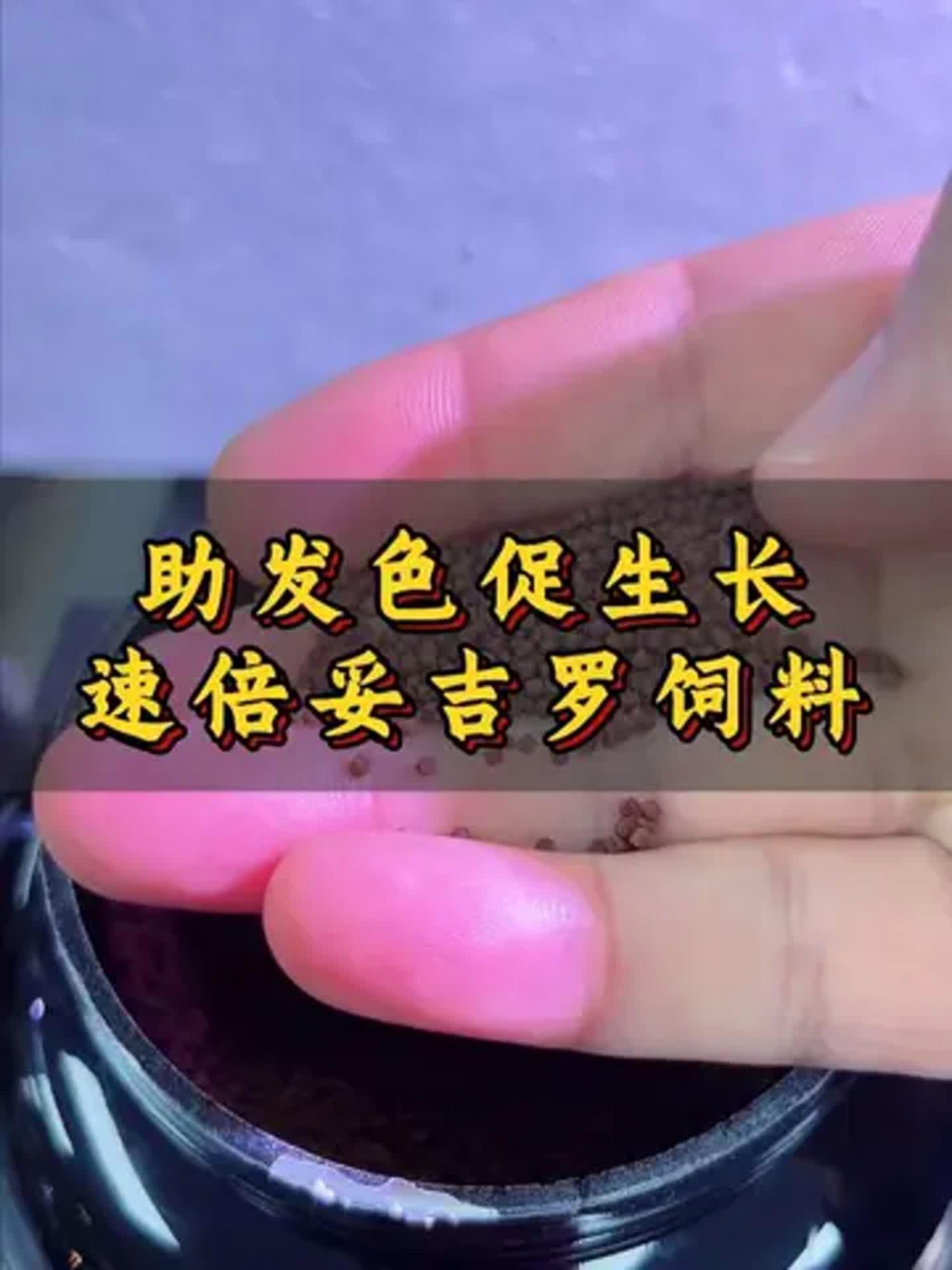 速倍妥飼料哪個型號最好？，速倍妥各型號對照表，幫你快速選對適合你家魚種的飼料？ 速倍妥飼料哪個型號最好？，速倍妥各型號對照表，幫你快速選對適合你家魚種的飼料？ 龍魚百科 第8張