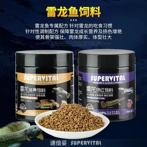 速倍妥飼料哪個型號最好？，速倍妥各型號對照表，幫你快速選對適合你家魚種的飼料？ 速倍妥飼料哪個型號最好？，速倍妥各型號對照表，幫你快速選對適合你家魚種的飼料？ 龍魚百科 第6張