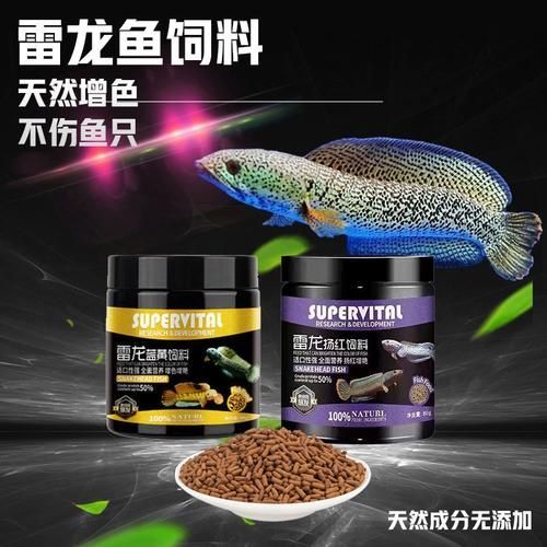 速倍妥飼料哪個型號最好？，速倍妥各型號對照表，幫你快速選對適合你家魚種的飼料？ 速倍妥飼料哪個型號最好？，速倍妥各型號對照表，幫你快速選對適合你家魚種的飼料？ 龍魚百科 第4張