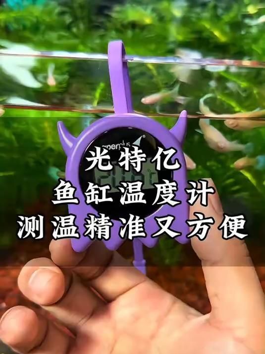 有哪些方法可以穩(wěn)定龍魚(yú)的水溫，蘭嶼靜音變頻水泵介紹蘭嶼靜音變頻水泵介紹