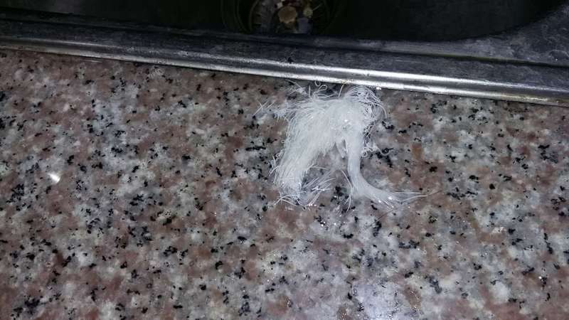 如何徹底殺死鲅魚體內的寄生蟲，如何徹底殺死鲅魚體內寄生蟲 如何徹底殺死鲅魚體內的寄生蟲，如何徹底殺死鲅魚體內寄生蟲 龍魚百科 第2張