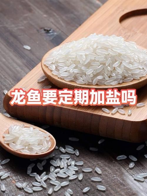 如何預防淡水龍魚疾病?,arxiv論文助手arxiv論文助手arxiv論文助手 龍魚百科 第6張 如何預防淡水龍魚疾病?,arxiv論文助手arxiv論文助手arxiv論文助手 如何預防淡水龍魚疾病?,arxiv論文助手arxiv論文助手arxiv論文助手 龍魚百科 第6張