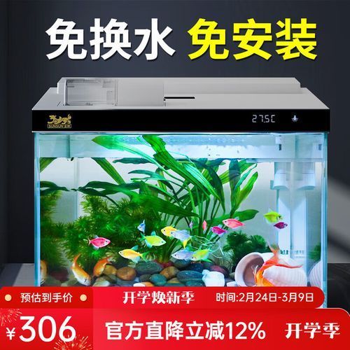 給我推薦幾款適合過背金龍的魚缸，過背金龍魚缸怎么選 給我推薦幾款適合過背金龍的魚缸，過背金龍魚缸怎么選 龍魚百科 第4張