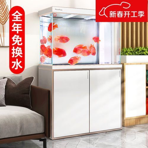 給我推薦幾款適合過背金龍的魚缸，過背金龍魚缸怎么選