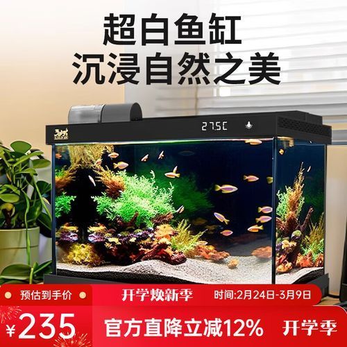 給我推薦幾款適合過背金龍的魚缸，過背金龍魚缸怎么選 給我推薦幾款適合過背金龍的魚缸，過背金龍魚缸怎么選 龍魚百科 第3張