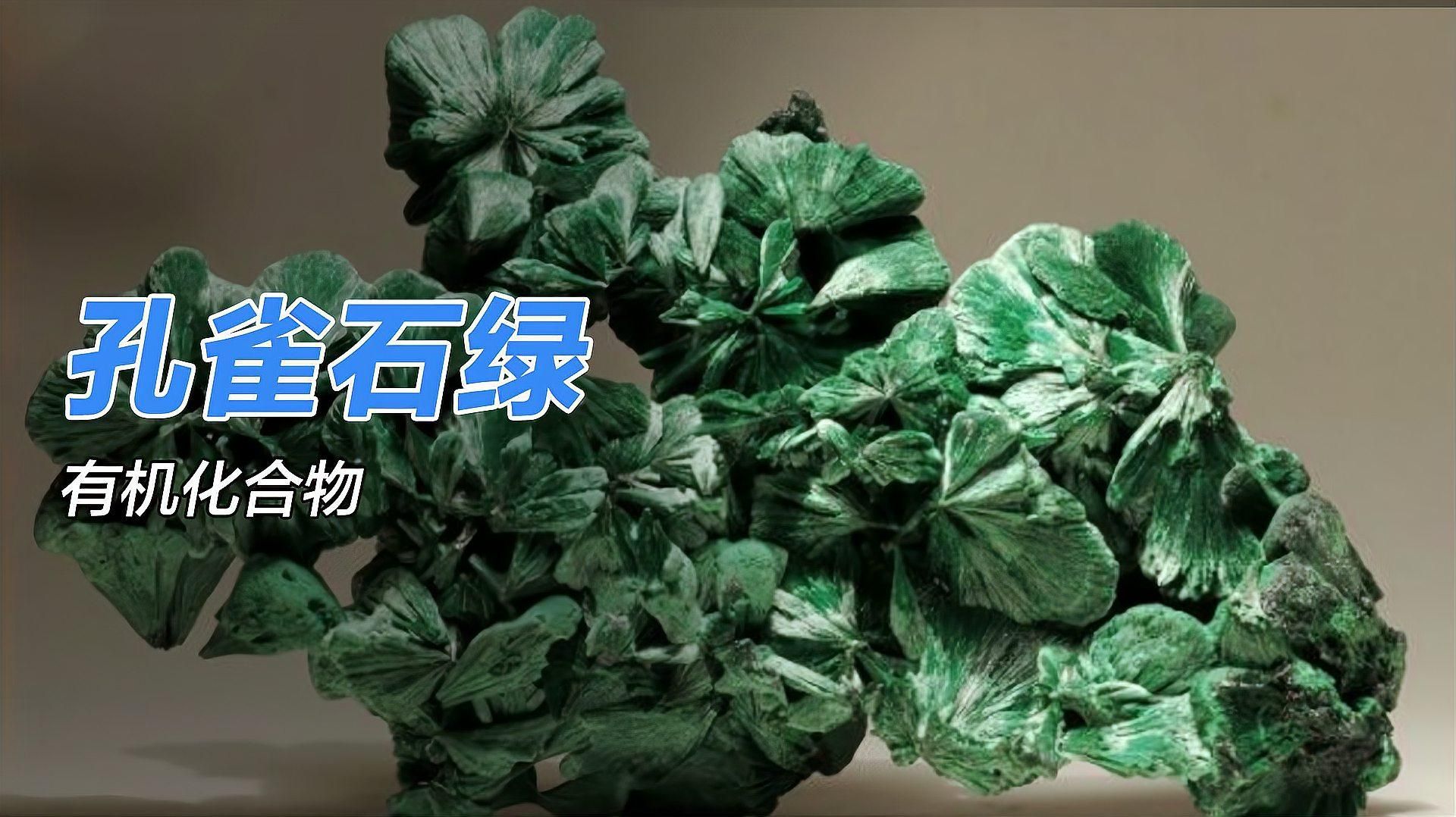 孔雀石綠為何會被禁用，孔雀石綠是一種被禁用的化合物其禁用原因與健康風險有關 孔雀石綠為何會被禁用，孔雀石綠是一種被禁用的化合物其禁用原因與健康風險有關 龍魚百科 第2張
