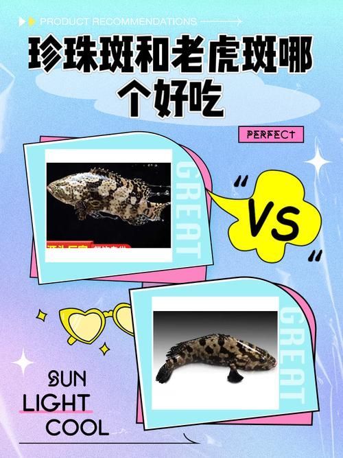 如何判斷虎斑恐龍魚的健康狀況？，虎斑恐龍魚（pangasianodonhypophthalmus）健康狀況 如何判斷虎斑恐龍魚的健康狀況？，虎斑恐龍魚（pangasianodonhypophthalmus）健康狀況 龍魚百科 第4張
