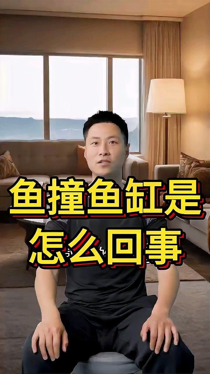 有哪些魚適合改善魚撞缸問題，有哪些魚適合改善魚撞缸問題,觀賞魚撞缸是一個(gè)常見但值得重視的問題 有哪些魚適合改善魚撞缸問題，有哪些魚適合改善魚撞缸問題,觀賞魚撞缸是一個(gè)常見但值得重視的問題 龍魚百科